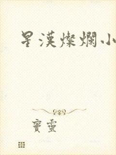 星汉灿烂小说