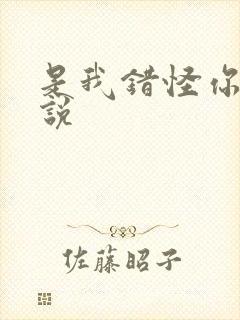 是我错怪你了小说