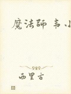 魔法师 韦小宝