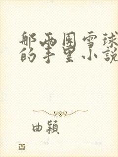 那两团雪球在他的手里小说