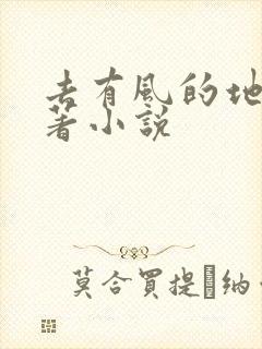 去有风的地方原著小说