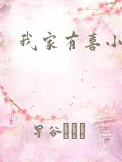我家有喜小说