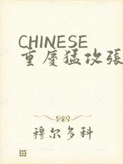 CHINESE重庆猛攻张先生