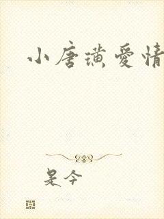 小唐璜爱情历史