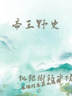 帝王野史