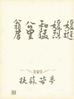 翁公和媛媛在厨房里猛烈进出