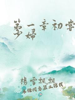 第一章初尝极品少妇