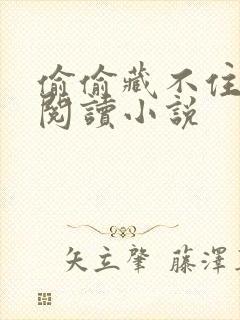 偷偷藏不住免费阅读小说