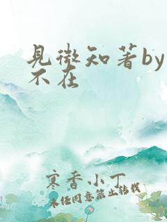 见微知著by音不在