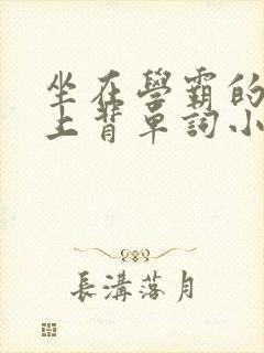 坐在学霸的棍子上背单词小说