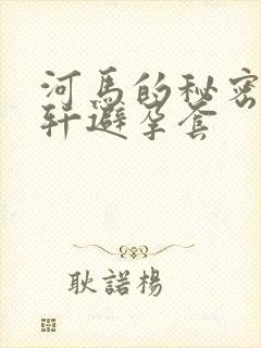 河马的秘密河文轩避孕套