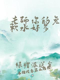 老师你的兔子好软水好多