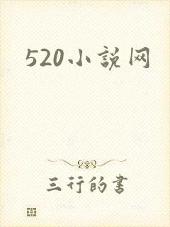 520小说网