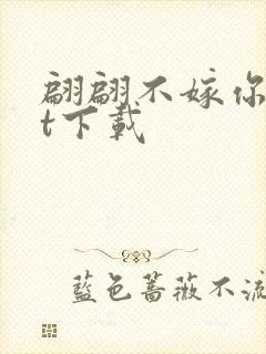 翩翩不嫁你txt下载