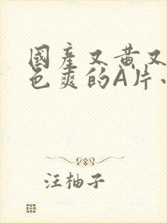 国产又黄又大又色爽的A片小说