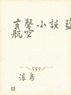 有声小说 蓝天航空