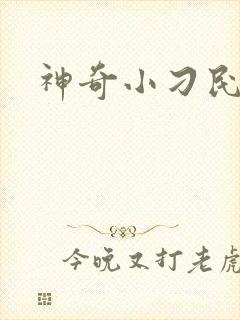 神奇小刁民