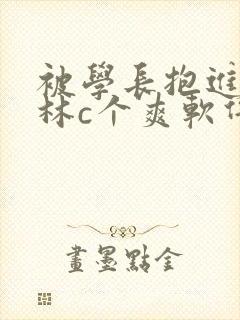 被学长抱进小树林c个爽软件