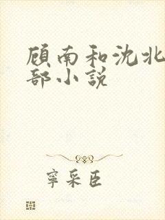 顾南和沈北是哪部小说