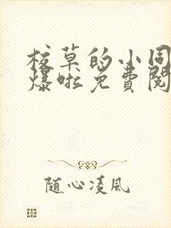 校草的小同桌撩爆啦免费阅读