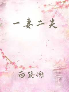 一妻二夫