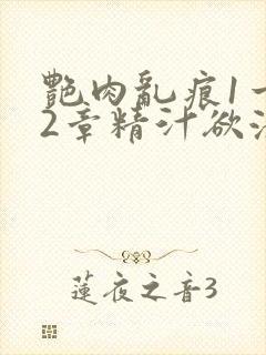 艳肉乱痕1一12章精汁欲液