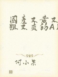 国产又黄又猛又粗又爽的A片小说