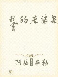 我的老婆是黑社会