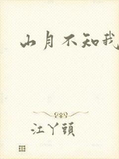 山月不知我心事