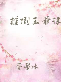 推倒王爷很重要