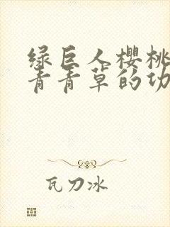 绿巨人樱桃荔枝青青草的功效