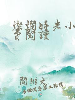 灿烂时光小说免费阅读