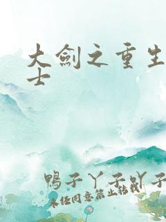 大剑之重生圣骑士