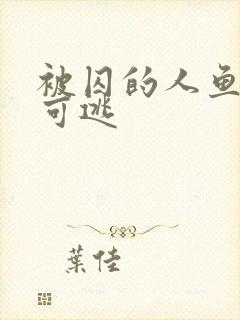 被囚的人鱼无处可逃