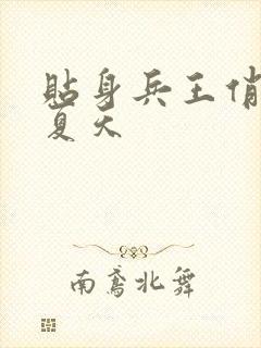 贴身兵王俏总裁夏天