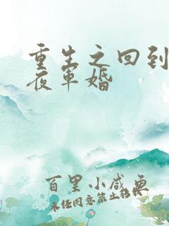 重生之回到新婚夜军婚