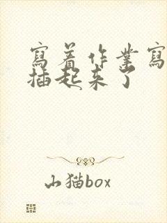 写着作业写着就插起来了