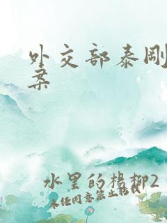 外交部泰刚间谍案