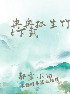 冉冉孤生竹txt下载