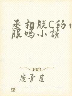 丞相朕C的你舒服吗小说