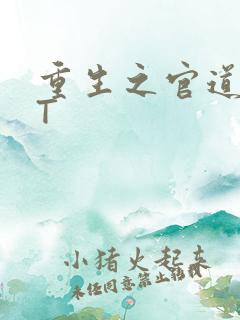重生之官道TXT