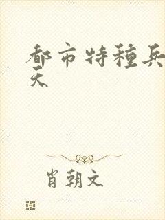 都市特种兵 任天