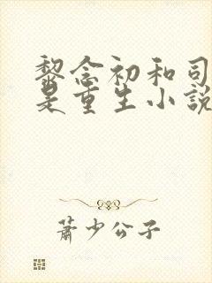 黎念初和司慕城是重生小说