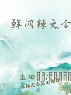 鲜网辣文合集