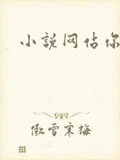 小说网站你懂的