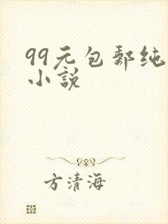 99元包邮纯奶小说