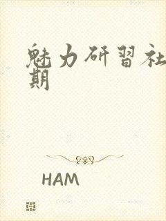 魅力研习社43期