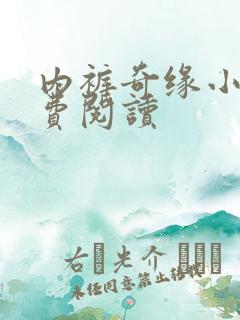 内裤奇缘小说免费阅读