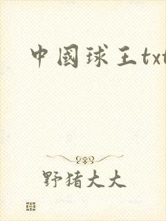中国球王txt