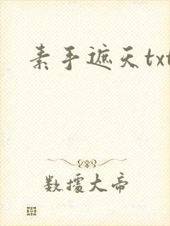 素手遮天txt